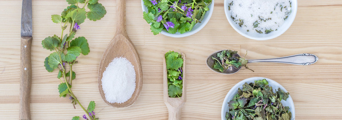 Kräuterbote Kräuter Verarbeitung