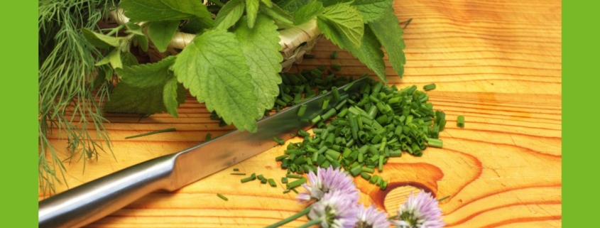 Küche Kräuter schneiden
