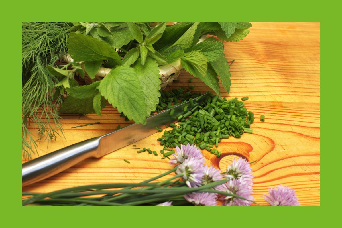 Küche Kräuter schneiden