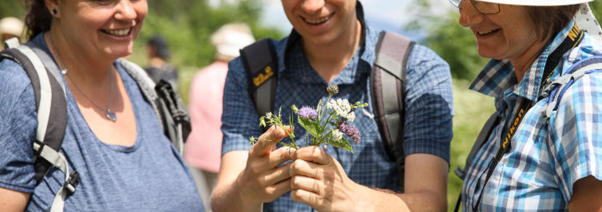 Meisenberger Meisenberger