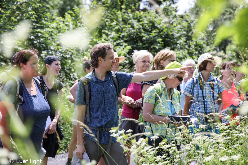 Meisenberger - Referent in Graz