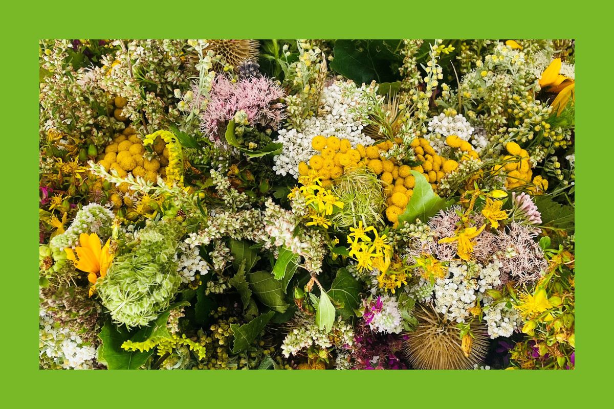 Kräuter Büschl Strauß