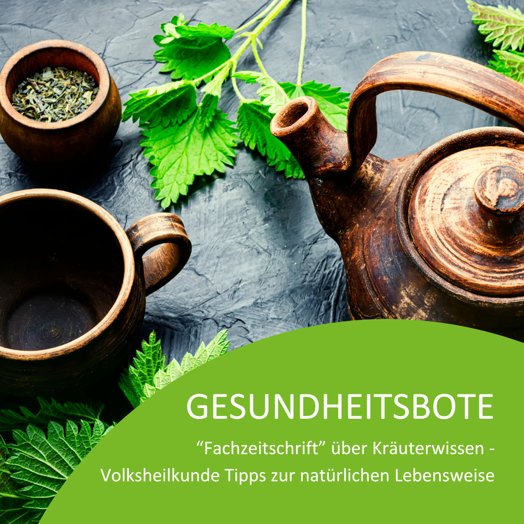 _ENTWURF 3 HOMEPAGE (1)