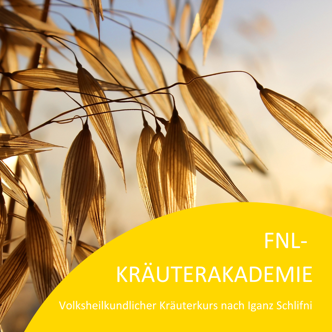 _ENTWURF 3 HOMEPAGE (2)