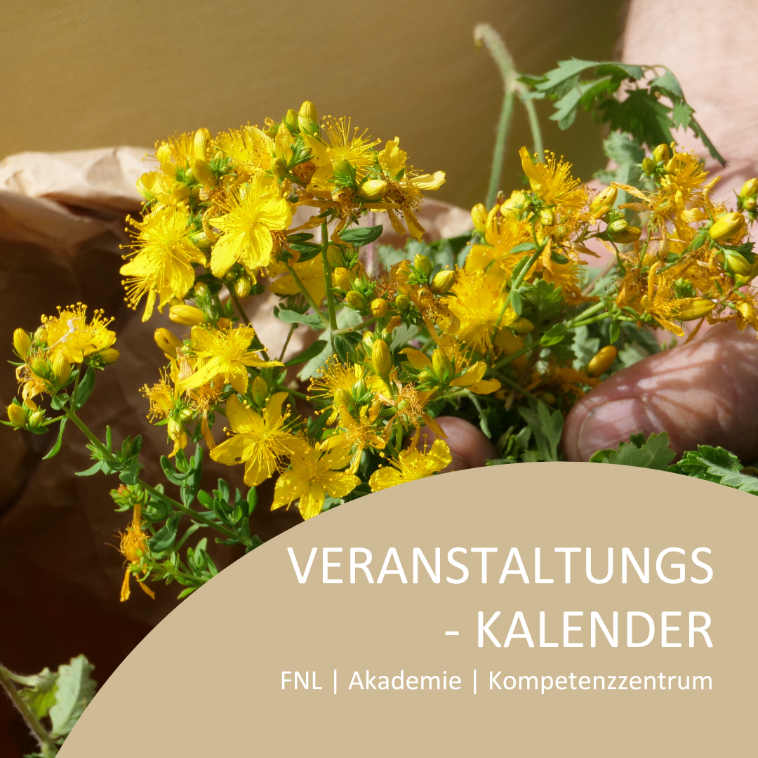 _ENTWURF 3 HOMEPAGE (3)