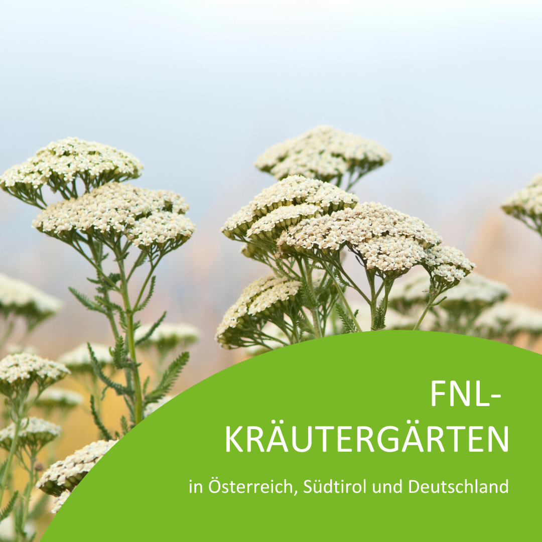 _ENTWURF 3 HOMEPAGE (4)