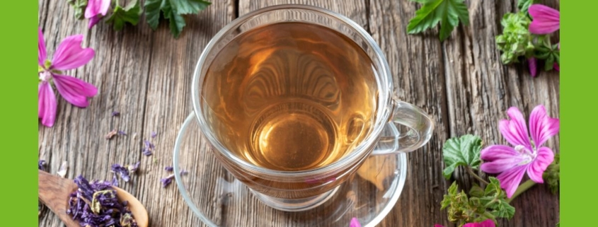 Malve Teetasse