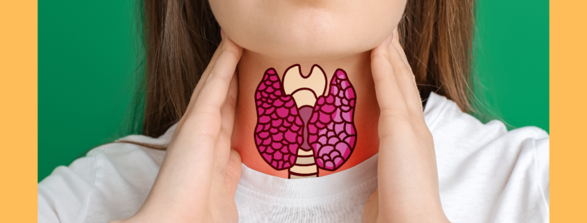 Workshop Amstetten - Schilddrüse