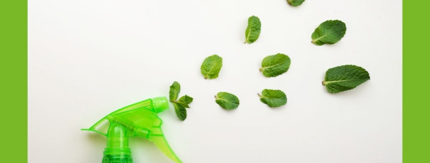 Putzmittel Reiniger grün