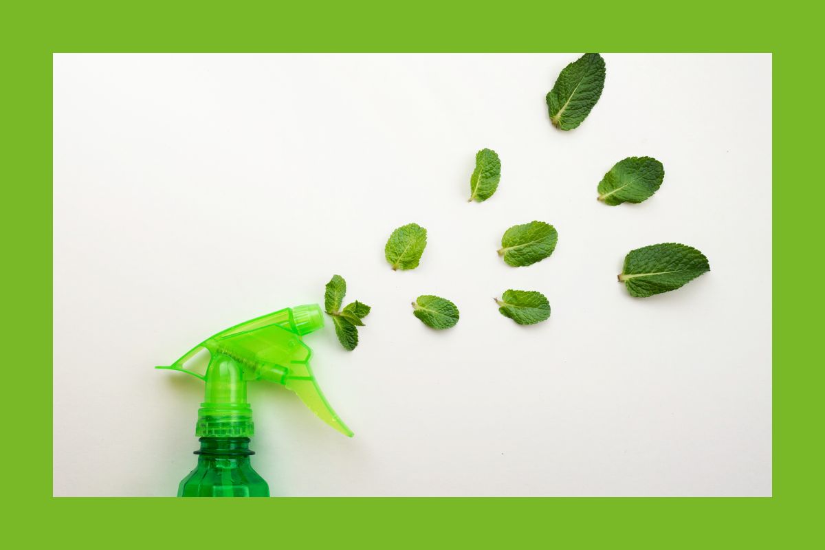 Putzmittel Reiniger grün