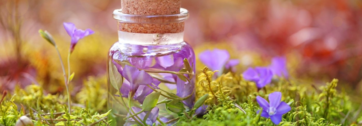 Titelbild der Akademie