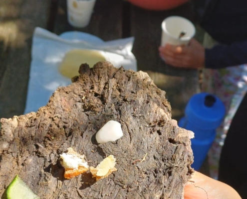 Kinderkräuterwerkstatt 2025