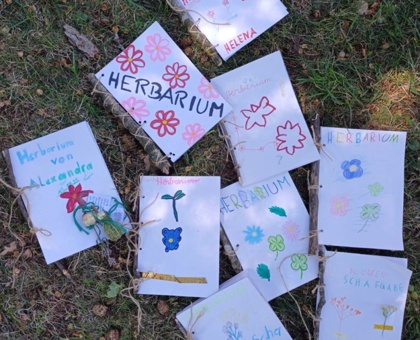 Kinderkräuterwerkstatt 2025