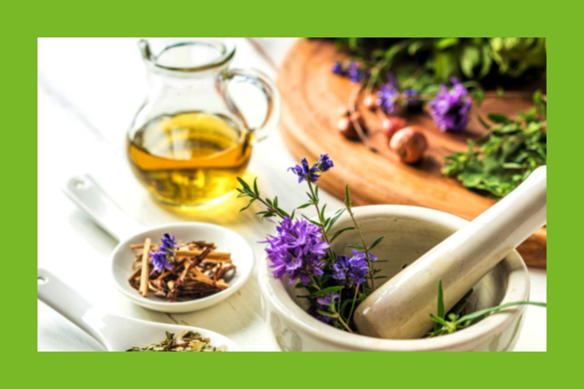 Sommer Kräuter verarbeiten