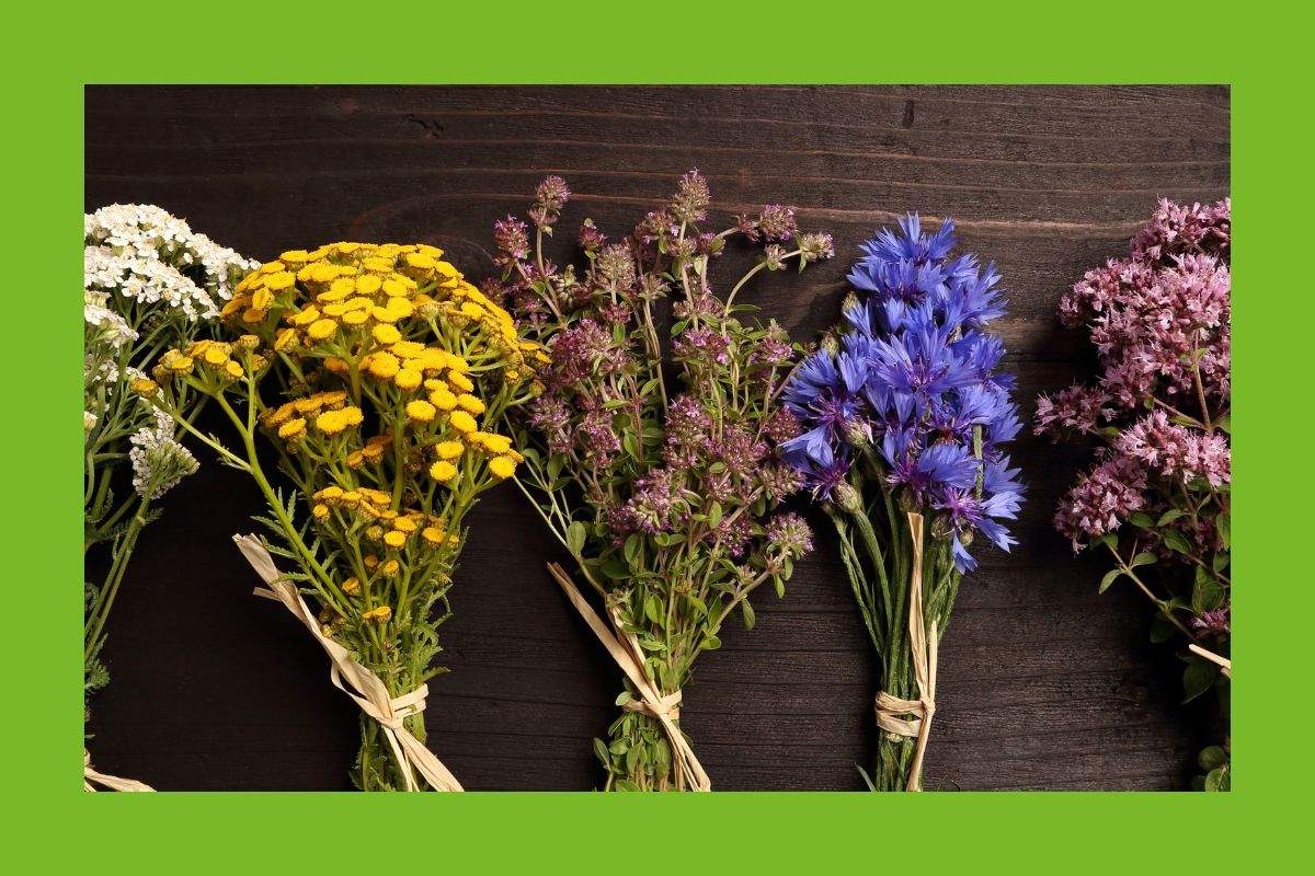 Kräuter mit Blüten