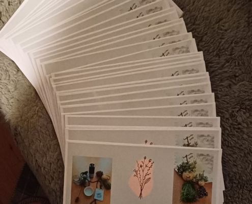 Kinderkräuterwerkstatt 2025