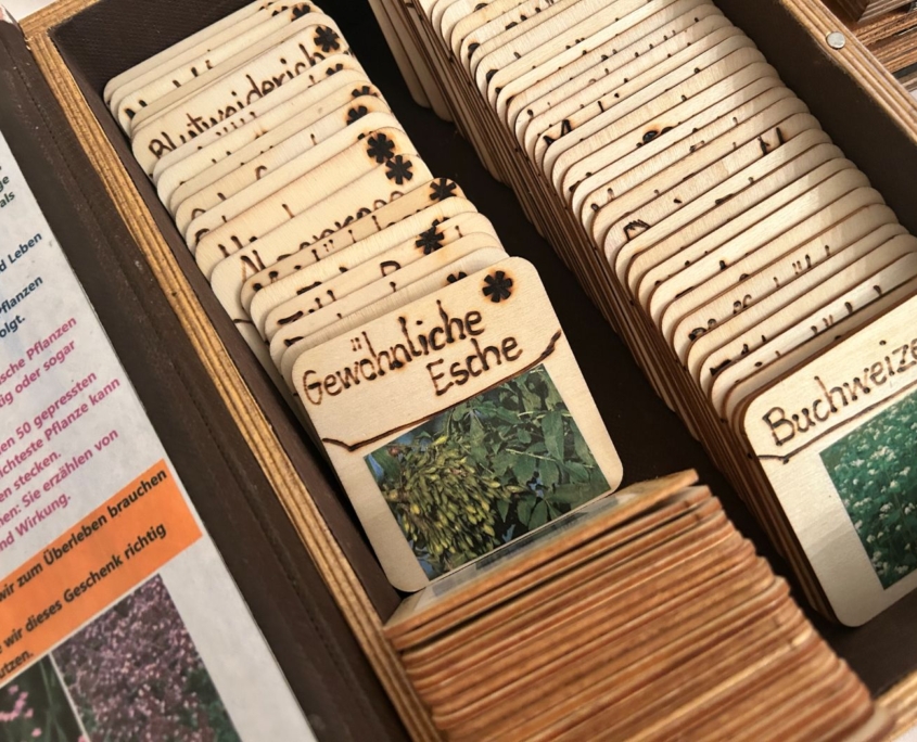 Herbarium Prüfung 2025