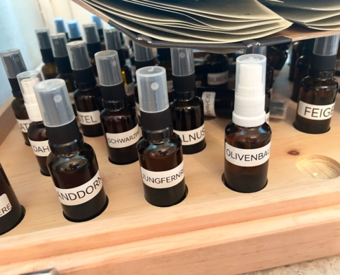 Herbarium Prüfung 2025