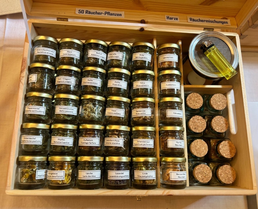 Herbarium Prüfung 2025