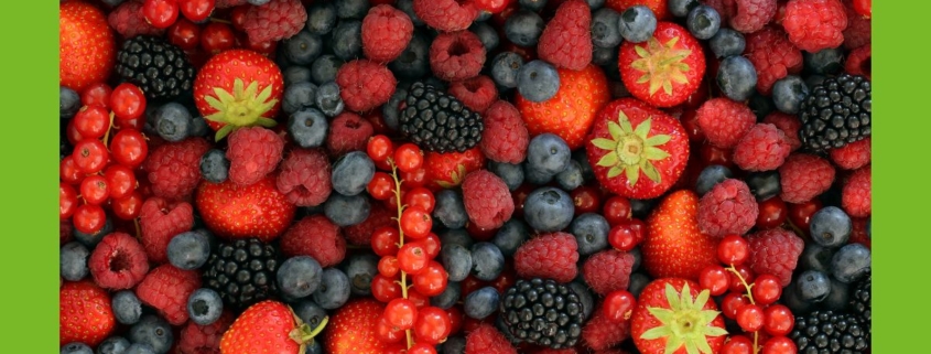 diverse Früchte - Himbeere, Erdbeere, Heidelbeere, Ribisel