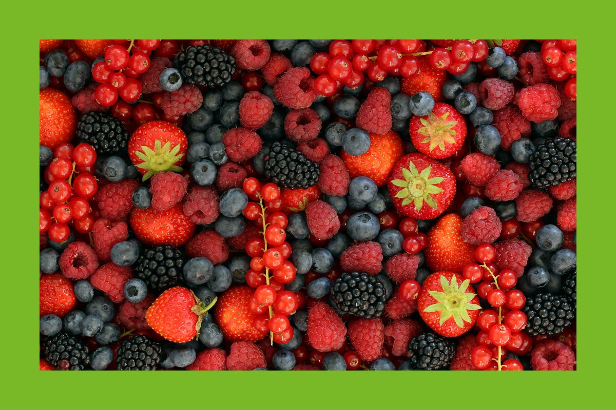 diverse Früchte - Himbeere, Erdbeere, Heidelbeere, Ribisel