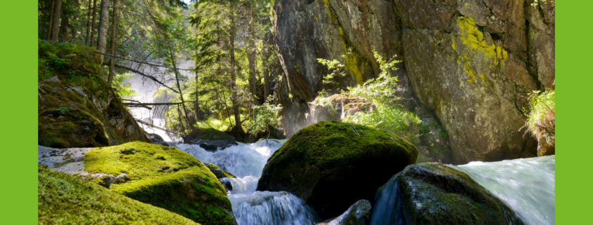 Wasser Fluss im Wald