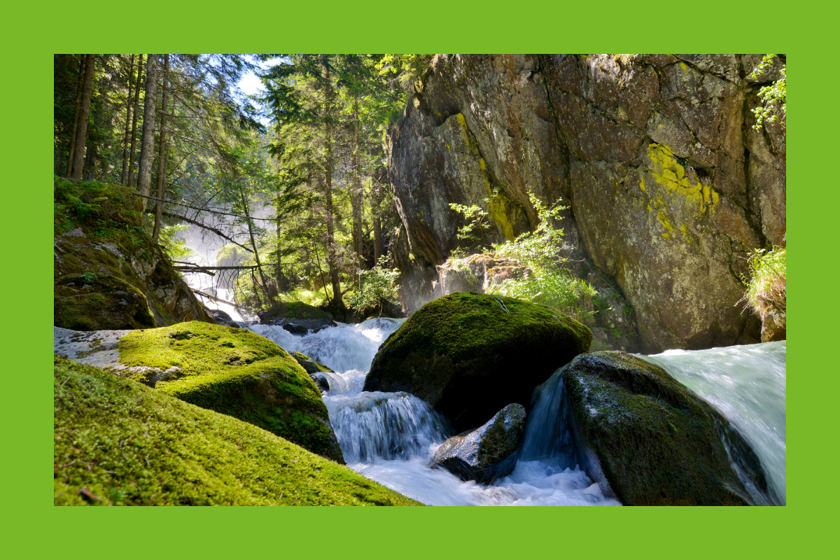 Wasser Fluss im Wald