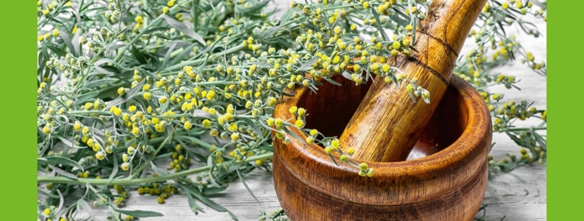 Wermut mit Holzmörser