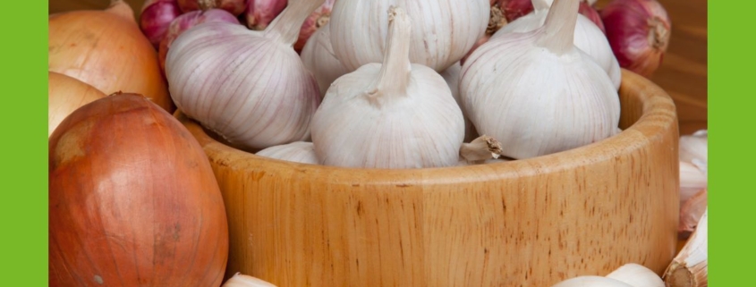 Zwiebel und Knoblauch