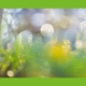 Wald Wanderung