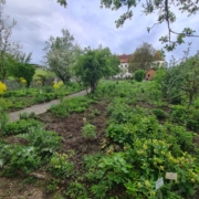 Kräutergarten Eberndorf