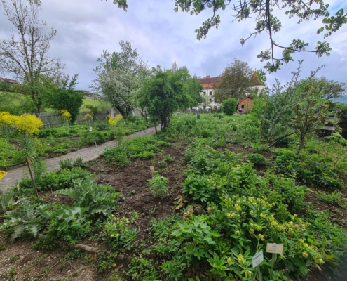 Kräutergarten Eberndorf