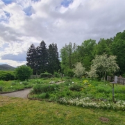 Kräutergarten Eberndorf