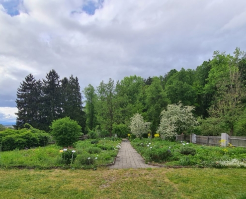 Kräutergarten Eberndorf