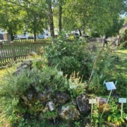 Kräutergarten Eberndorf