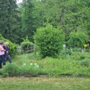 Kräutergarten Eberndorf Erika Grote