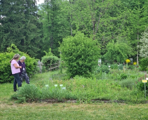 Kräutergarten Eberndorf Erika Grote