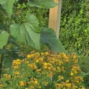 Kräutergarten Blaiken