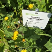Kräutergarten Blaiken