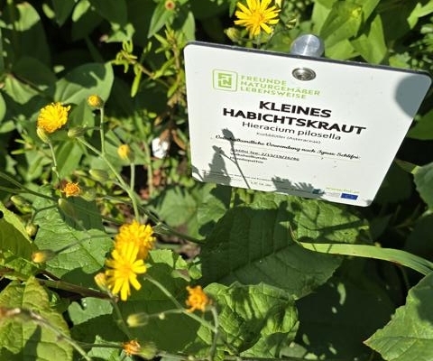 Kräutergarten Blaiken
