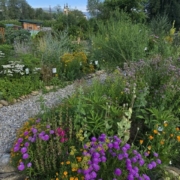 Kräutergarten Blaiken