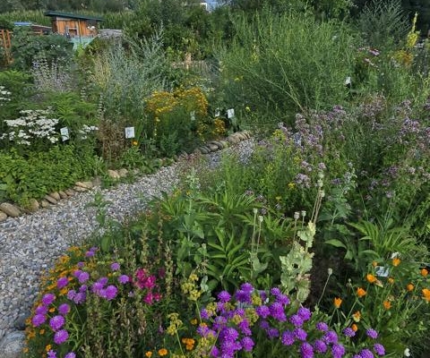 Kräutergarten Blaiken