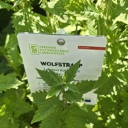 Kräutergarten Blaiken Wolfstrapp