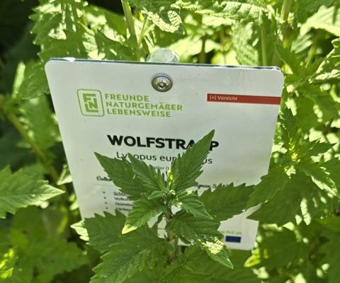 Kräutergarten Blaiken Wolfstrapp