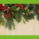 wintergrüne Zweige